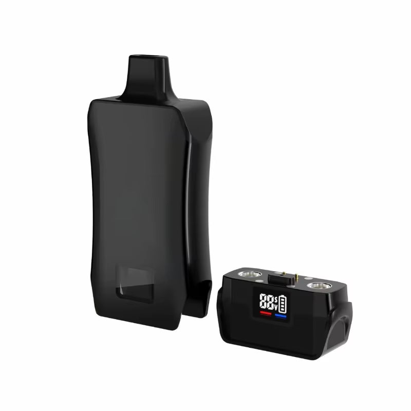 Dual Cart Cartridge Vape Pen Vaporizer Mod 500Mah Preheat Battery with LCD Display Bottom Intake Hiden Carts for Thich Oil Ecig